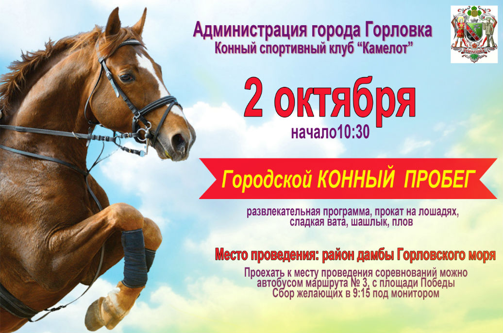 Реклама лошадок. Реклама конного клуба. Реклама конного спорта. Визитки конный спорт. Листовка конный спорт.